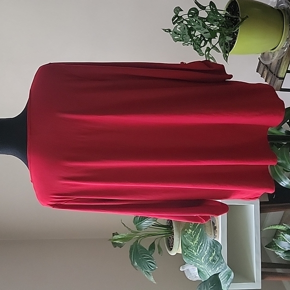 Red Long Sleeve Blouse - Picture 5 of 5